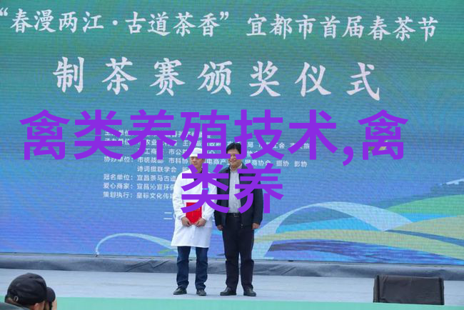 放养肉鸡常见的寄生虫病与防治办法