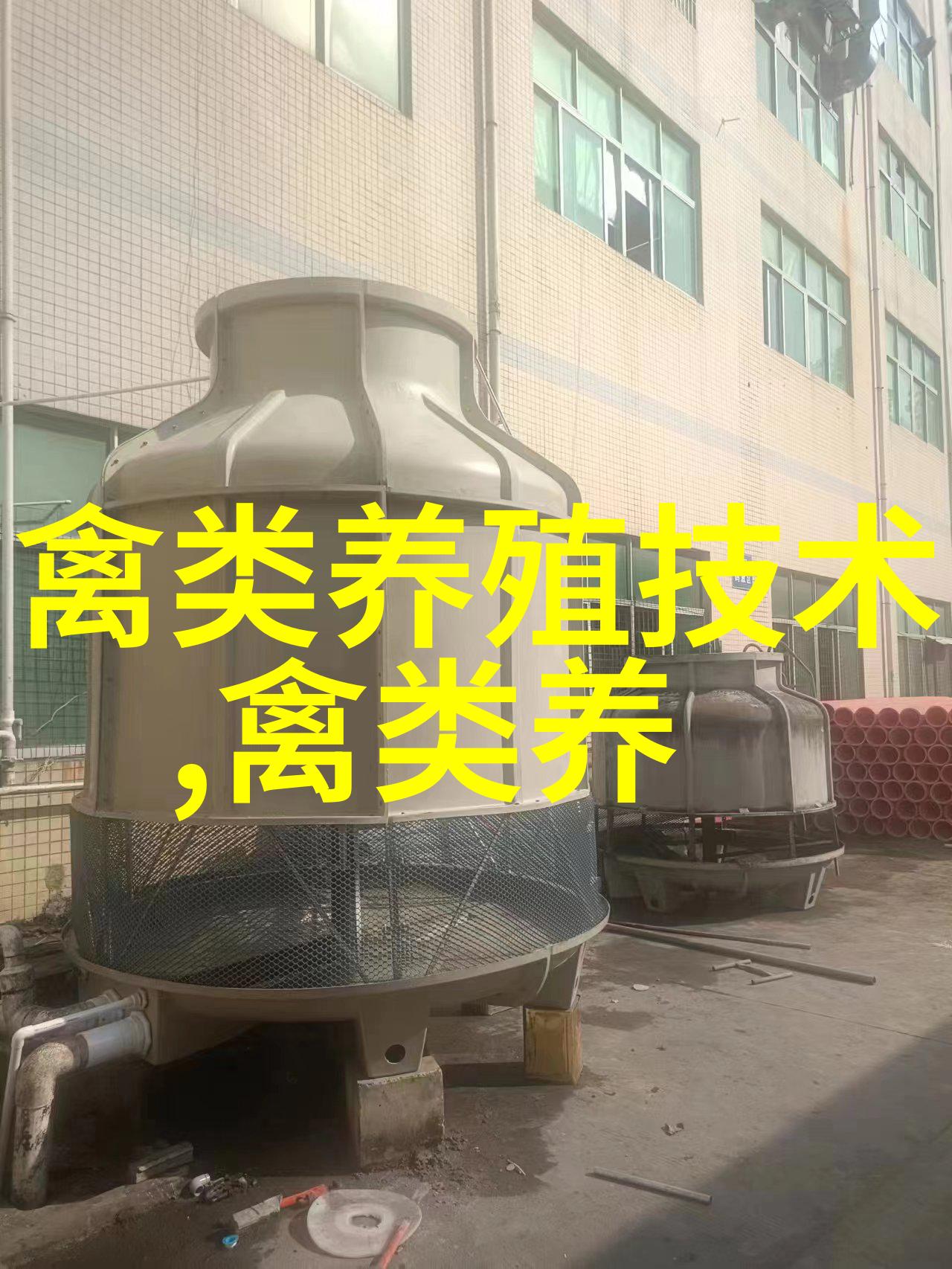 如何防产蛋鸡营养过剩