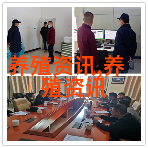 豪猪开开枪以丰富的门