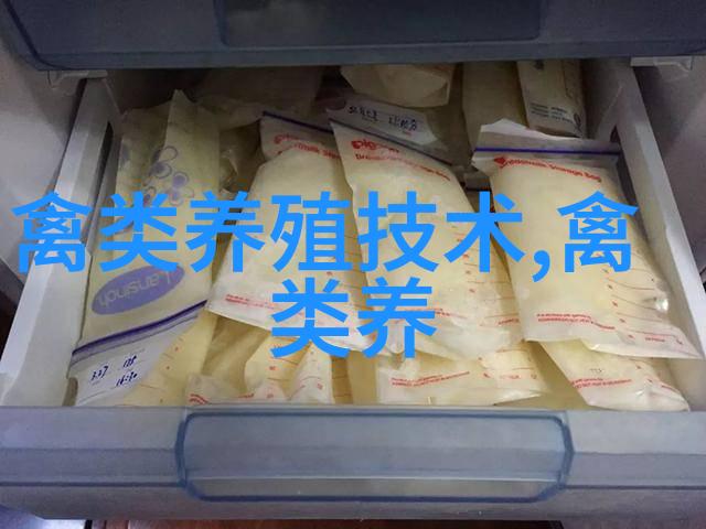 在林地散养鸡现有鸡舍幼鸡夜间需不需要照明