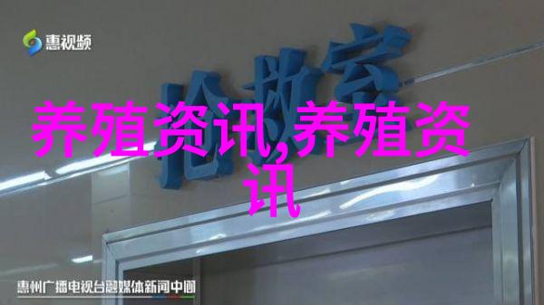 疯狂鸡蛋呼唤合理养殖