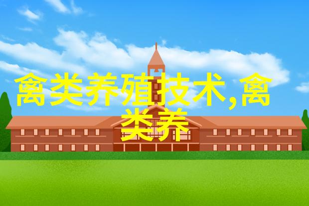 巧用草药喂山鸡
