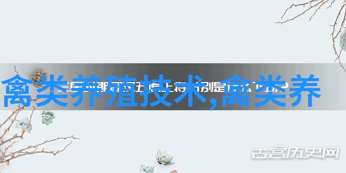 现代养鸡的笼养设备-深型蛋鸡笼和浅型蛋鸡笼