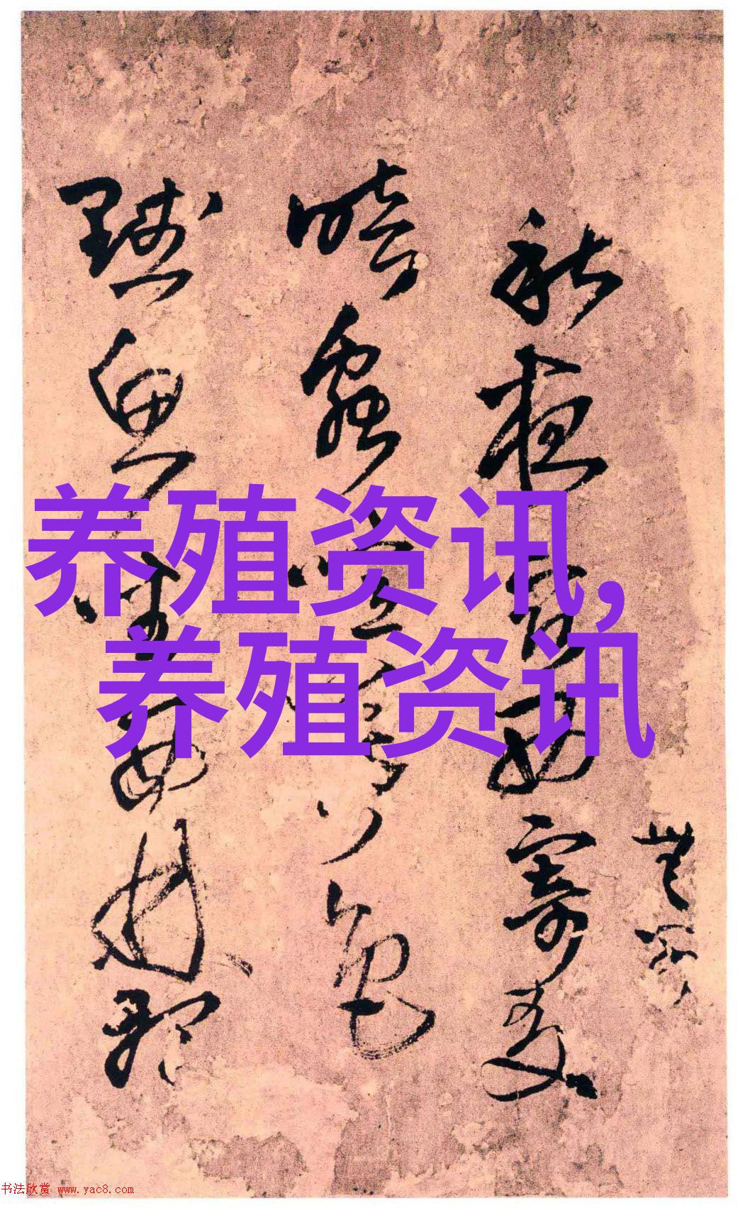 鸡肉价格继续上涨以提高农民的地位