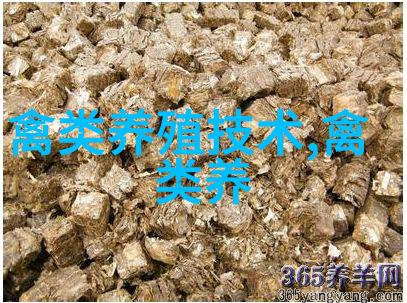 夏季肉仔鸡肠炎症防治要点