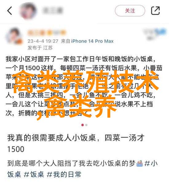 治鸡白痢验方四则