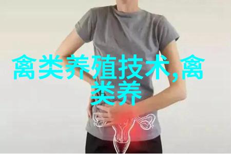 夏季养鸡防白冠病