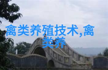 春养雏鸡常见病防治