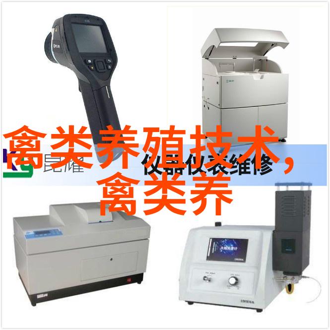 特养品种虫草鸡