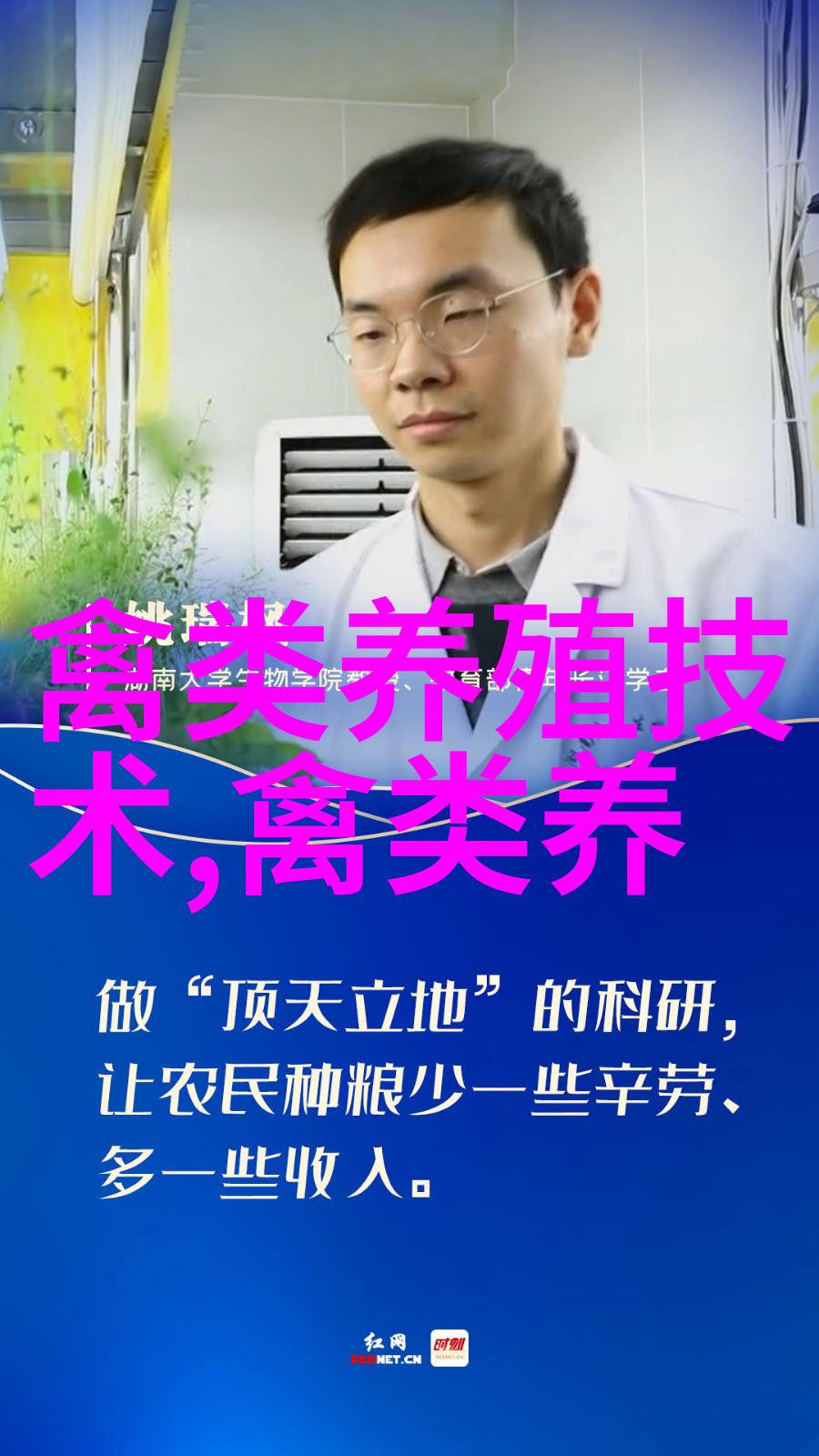 夏季肉鸡顽固性腹泻的防治措施