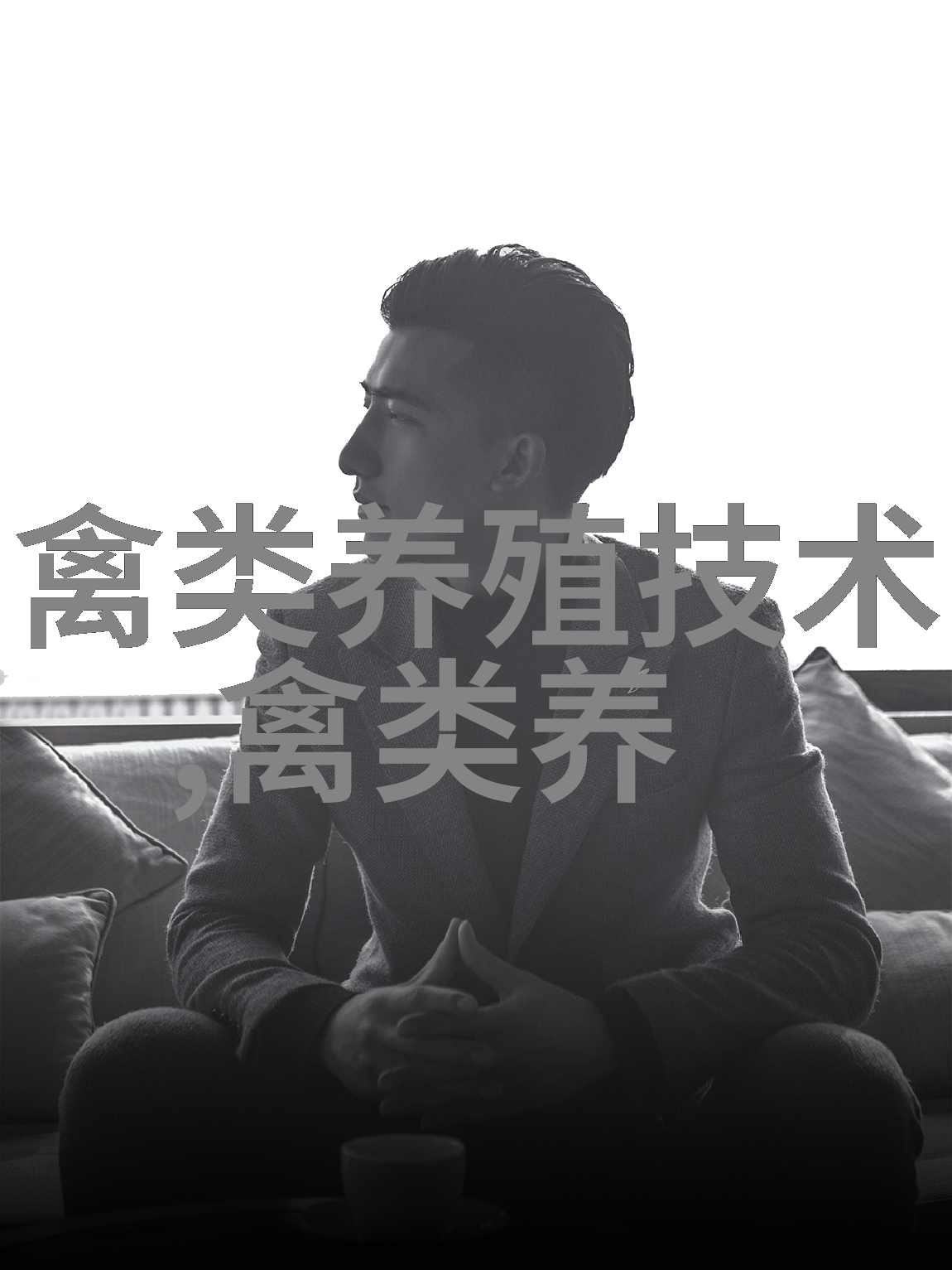 夏季谨防蛋鸡非病原性的腹泻