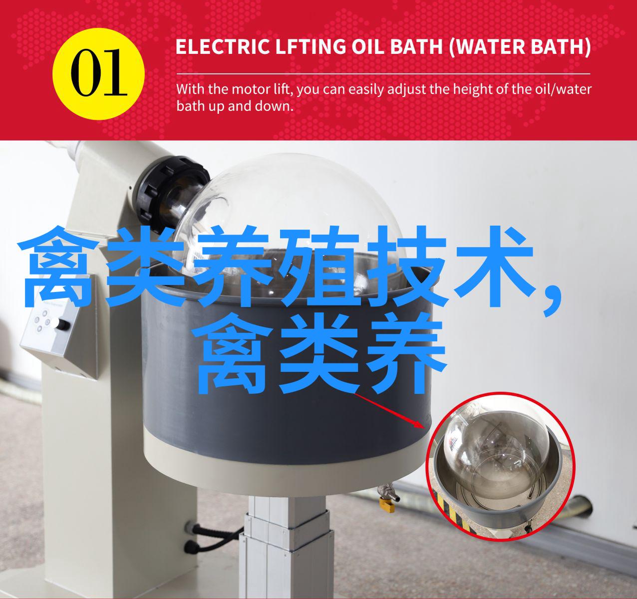 混合型鸡痘的诊治