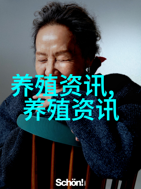 鸡蛋价格反弹半个鸡蛋价格飙升1833