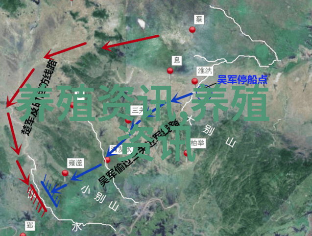 重庆市石柱县女职工家山猪奔上致富路