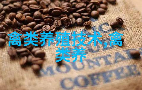 01周龄雏鸡的疾病预防与控制策略